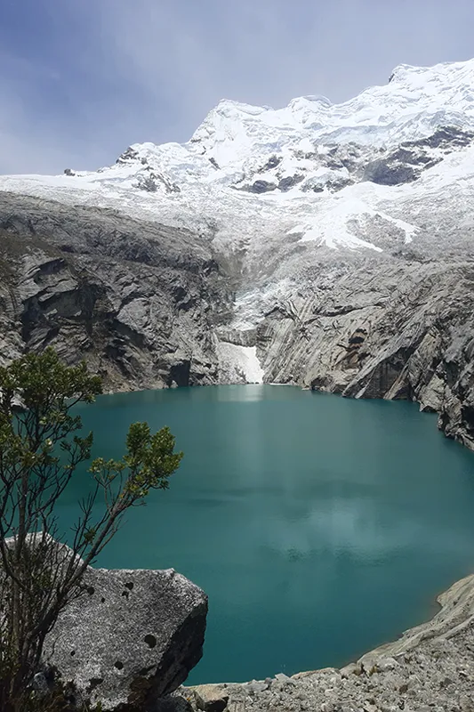 trek lake 513
